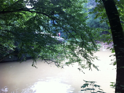 Sheltowee Trace, Red River Gorge